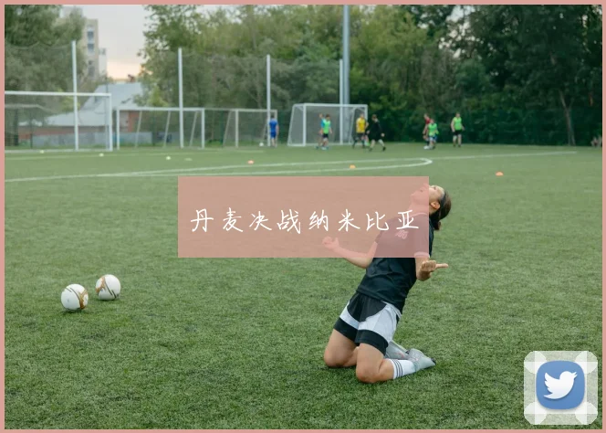 丹麦决战纳米比亚