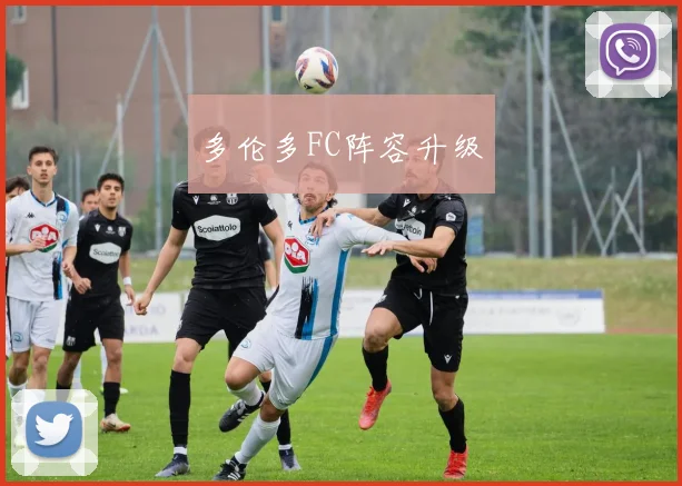 多伦多FC阵容升级