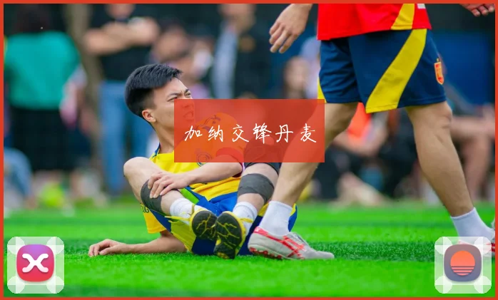 加纳交锋丹麦